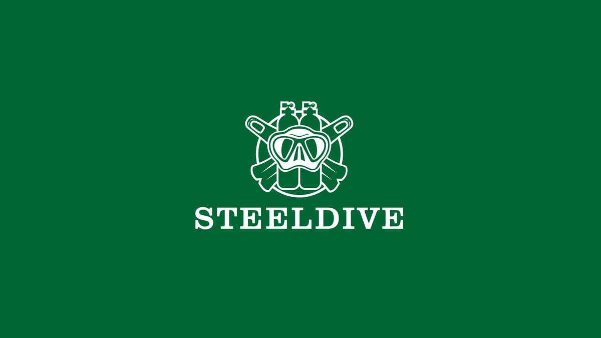 STEELDIVE 1953 Watch NH35 Automatic Mechanical 316L Stainless Steel BGW9 Lume Top Brand 200M Dive Wristwatch Men Reloj Hombre