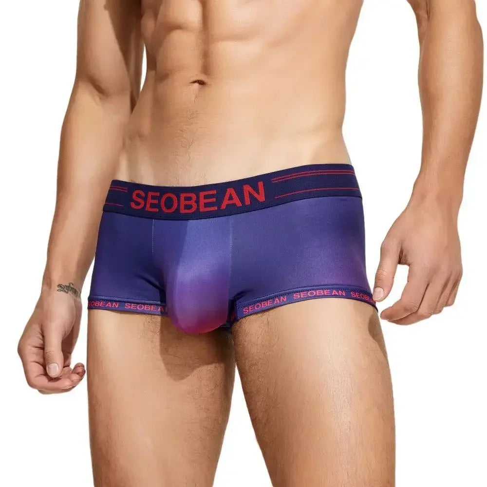 Sexy Low-waist Mens Underwear Boxers Gradient Color Underpants Boxer Shorts Male Panties Boxershorts underwear men boxer hombre