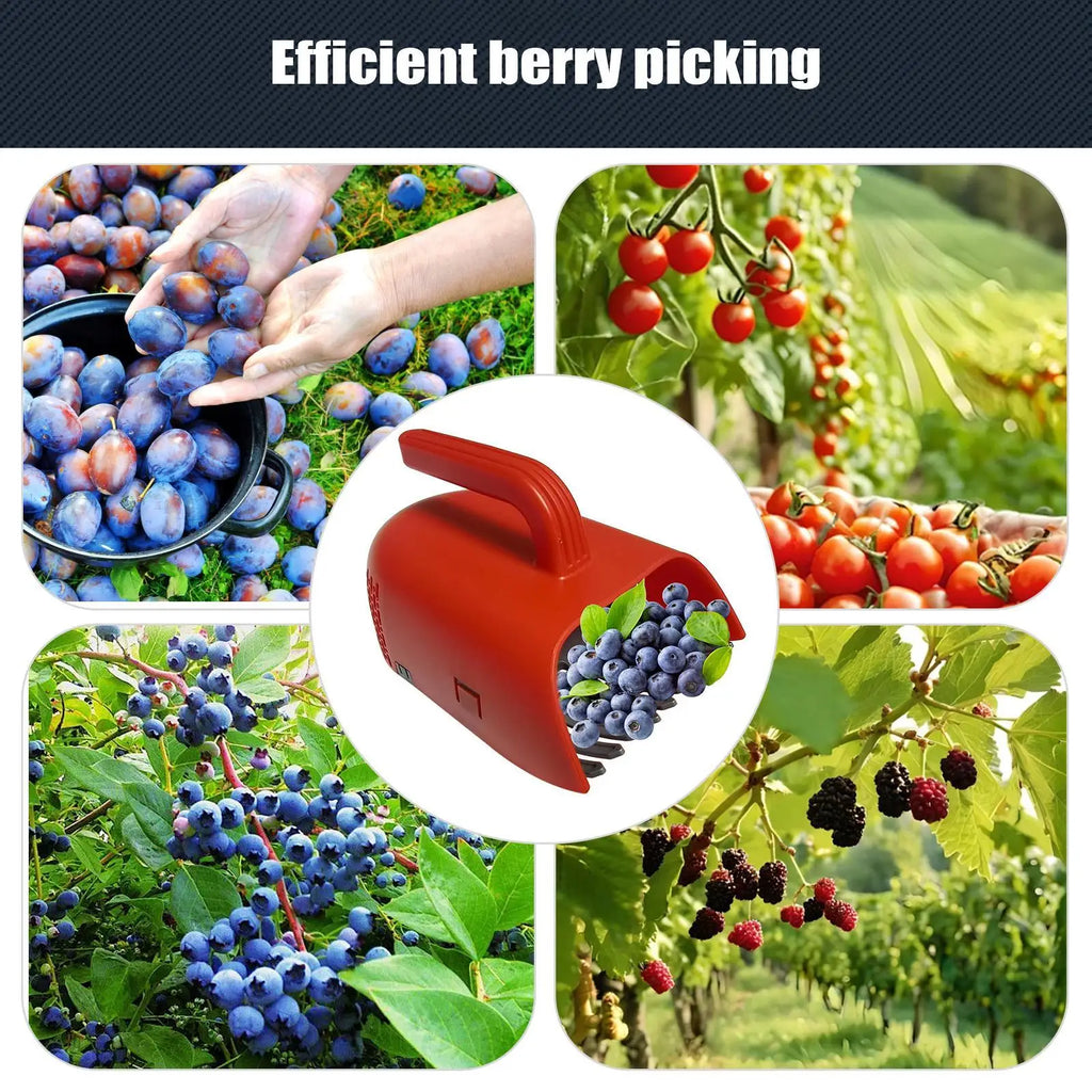 Portable Berry Picker Ergonomic Berry Pick Rake Plastic Handle Picking Tool Blueberry Collection Harvester with Ergonomic Handle