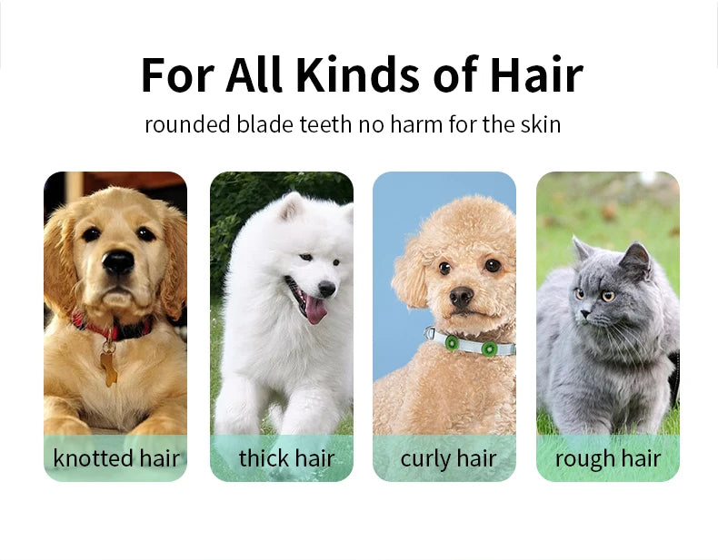Pet Hair Clippers for Cats Dogs, Low Noise Waterproof Wireless Grooming Trimmers for Pet Salon, Optional Replacement Blades