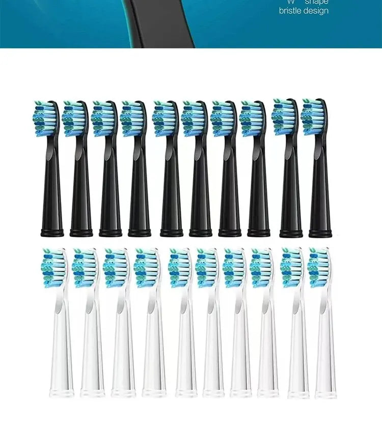 Tooth Brush Head For Seago-507B/908/909/917/610/659/719/910/575/551/548 Electric Toothbrush Deep Clean Dupont Bristle Brush Head