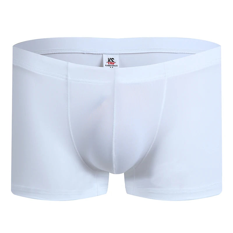 Men's Ice Silk Boxers Breathable Panties Male Large Ultra Thin Boxer Shorts Sexy Underwear
