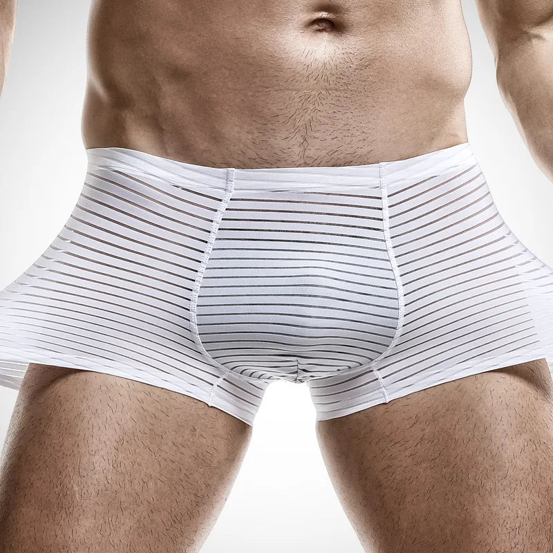 Mesh Men Boxers Sexy Seamless Breathable Underwears Thin Summer Boxershorts Solid Plus Size Hombre Boxer Homme Briefs Underpants