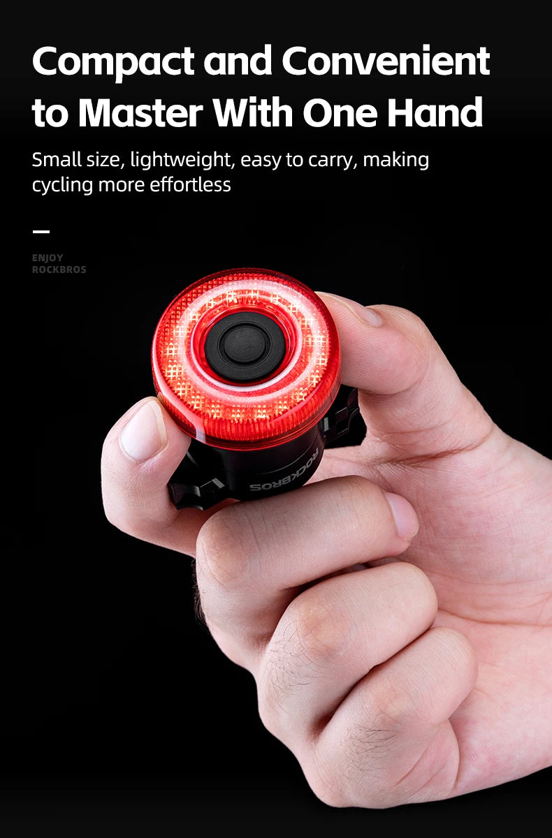 ROCKBROS Smart Bike Tail Light Bicycle Rear Lights IPX6 Waterproof Bike Lights for Night Riding with Type C Rechargeable