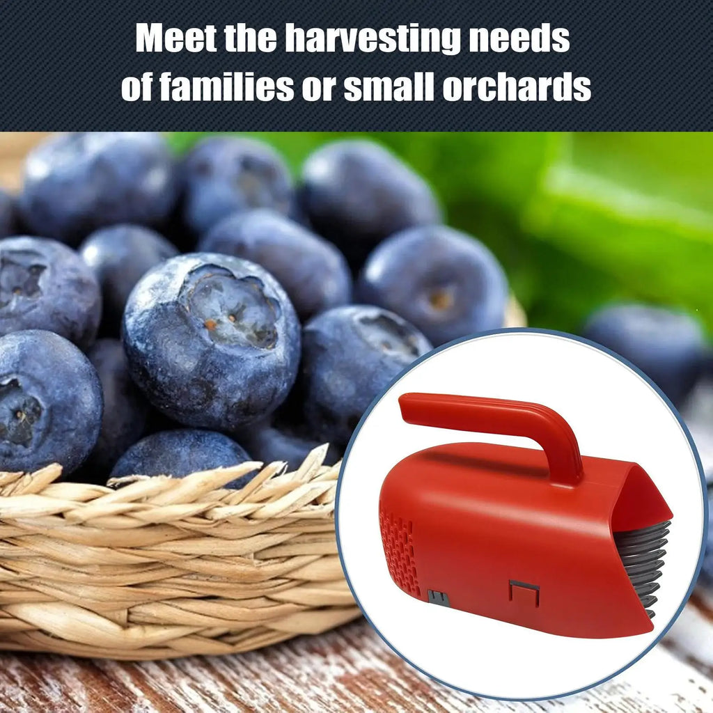 Portable Berry Picker Ergonomic Berry Pick Rake Plastic Handle Picking Tool Blueberry Collection Harvester with Ergonomic Handle