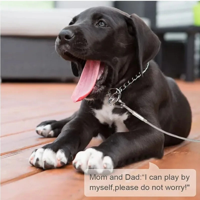 Double-Headed Dog Tie out Cable Leash with Metal Buckle Anti-Rust Steel Wire Outdoor Training Collar Durable Traction Rope Strap