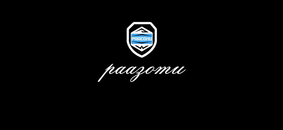 PAAZOMU Luxury Brand Man Watch Waterproof Luminous Date Week Men's Quartz Wristwatch Stainless Steel Fashion Sports Men Watches