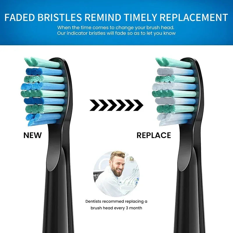Tooth Brush Head For Seago-507B/908/909/917/610/659/719/910/575/551/548 Electric Toothbrush Deep Clean Dupont Bristle Brush Head