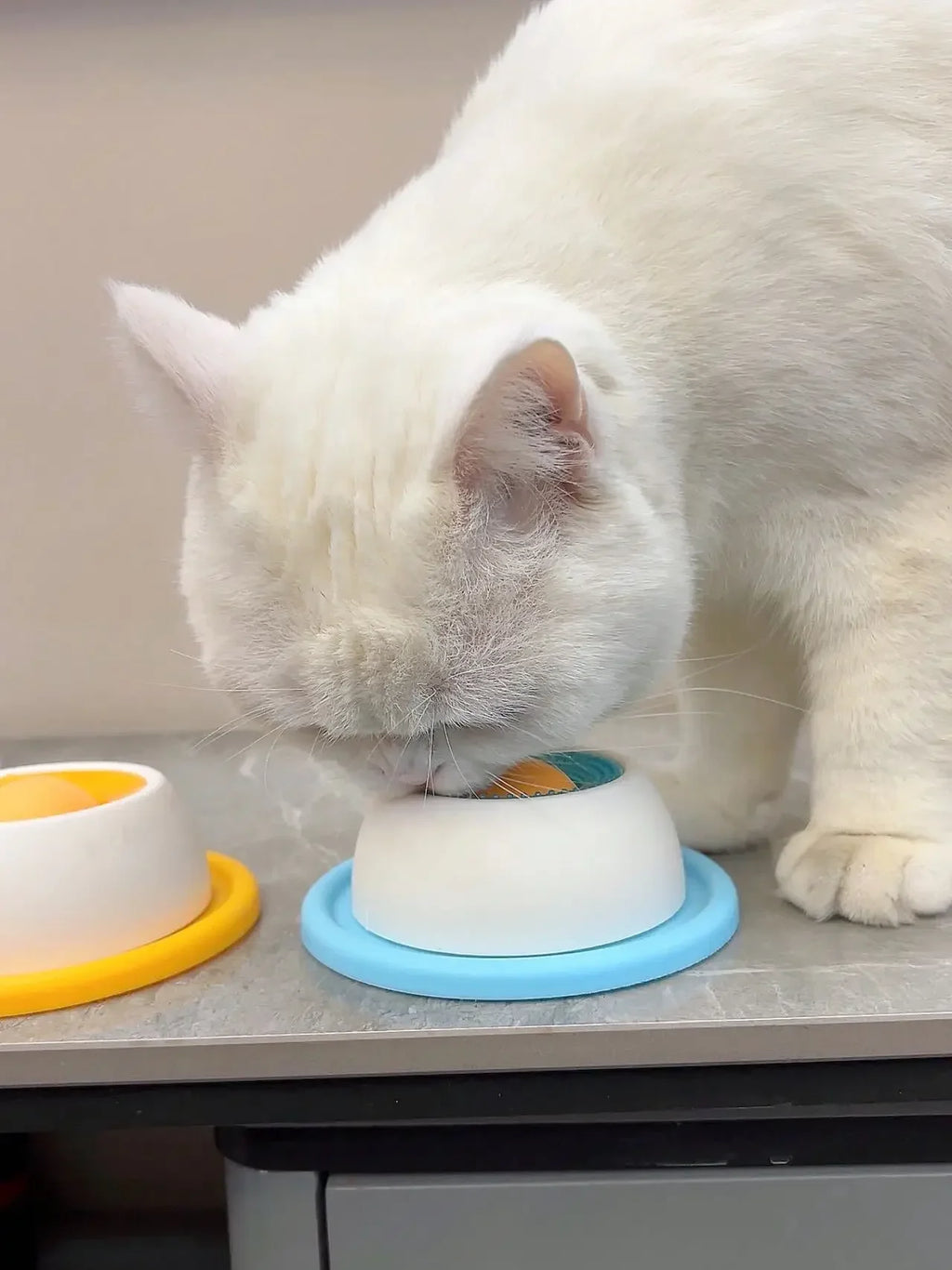 Pet Lick Toy Slow Feeding Dispenser Interactive Enrichment Training Crate Accessory for Dog Cat Puppy