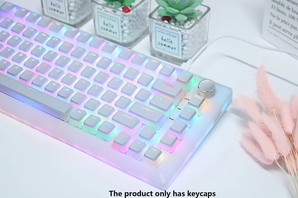 2025 PBT Pudding Keyboard Keycap OEM Profile 129 Keys Key Cap for Mx Hot Swap Mechanical Keyboard Switch Transparent RGB Keycaps