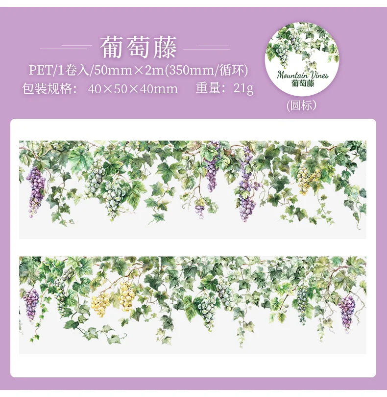5*200cm 1roll INS Fresh vine theme PET tape Stickers Adhesive Diy Scrapbooking Diary Scrapbooking Collage material Scrapbooking