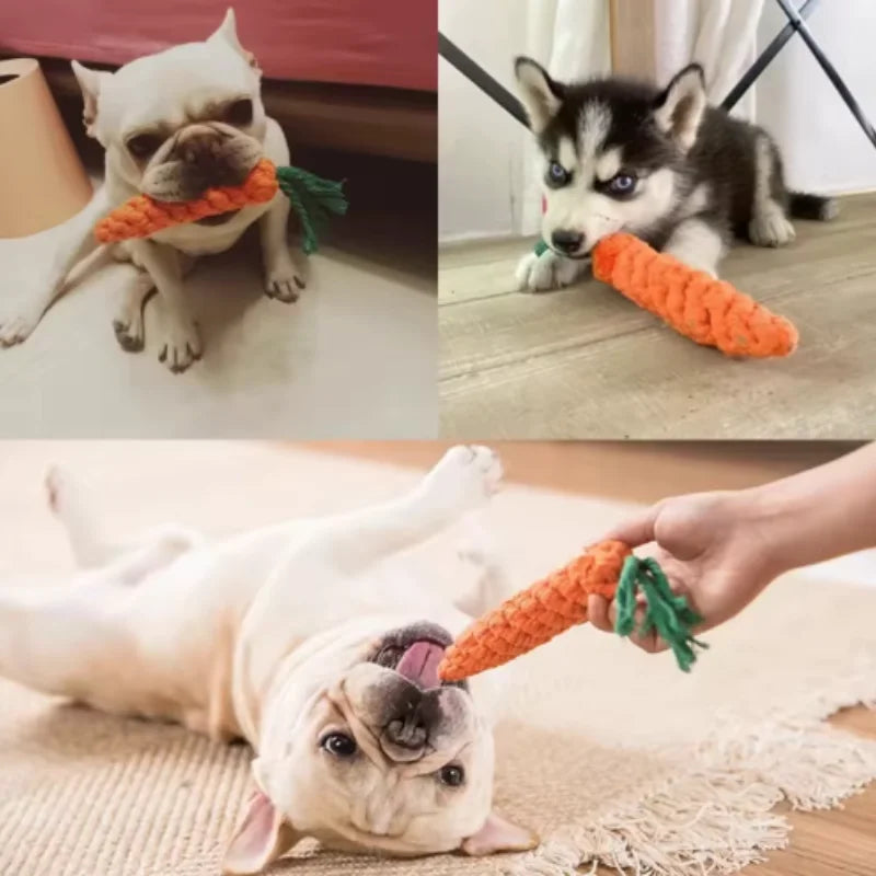 Brinquedo divertido para gatos em forma de cenoura, com textura para dentição e som, ideal para abraçar, resistente a mordidas e arranhões, artigos para animais de estimação para entretenimento interativo