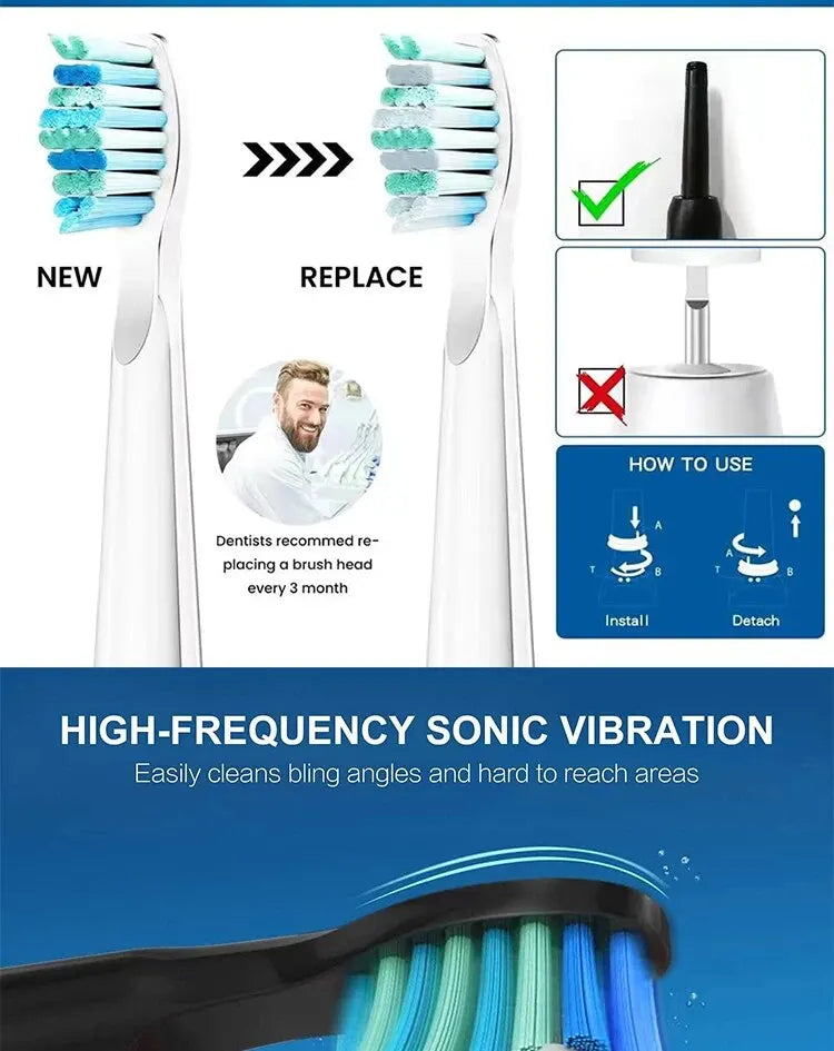 Tooth Brush Head For Seago-507B/908/909/917/610/659/719/910/575/551/548 Electric Toothbrush Deep Clean Dupont Bristle Brush Head