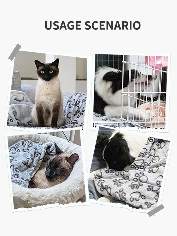 Winter Soft Dog Blanket Washable, Cat Blanket for Indoor Cats Mat Large Medium Small Dog Gifts Puppy Essentials (Grey) Bed