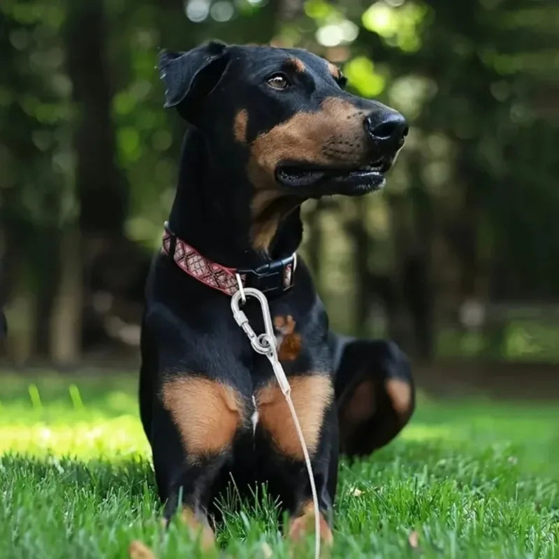 Double-Headed Dog Tie out Cable Leash with Metal Buckle Anti-Rust Steel Wire Outdoor Training Collar Durable Traction Rope Strap
