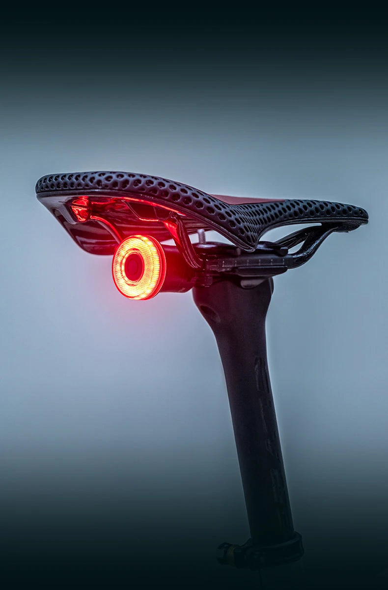 ROCKBROS Smart Bike Tail Light Bicycle Rear Lights IPX6 Waterproof Bike Lights for Night Riding with Type C Rechargeable