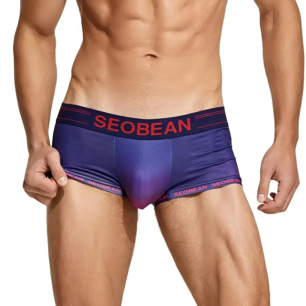 Sexy Low-waist Mens Underwear Boxers Gradient Color Underpants Boxer Shorts Male Panties Boxershorts underwear men boxer hombre