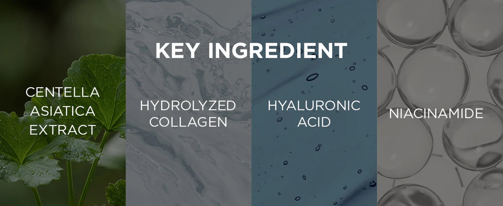 SKIN1004 Hyalu-Cica Moisture Cream Face Moisturizer Hyalu Cica Intense Hydration for Dry Dehydrated Skin Korean Skin Care