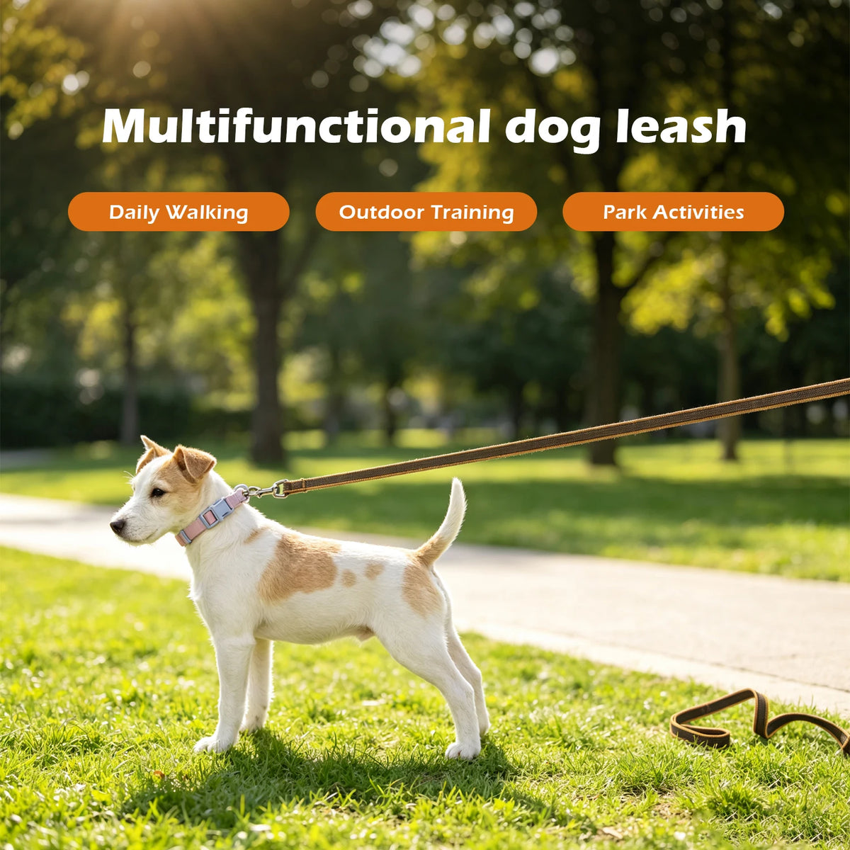 Medium Small Long Dog Leash 10M Latex Silk Easy and Convenient Light 1.5M 2M 3M Training Big Dog Leashes 5 Meter Dog Supplies