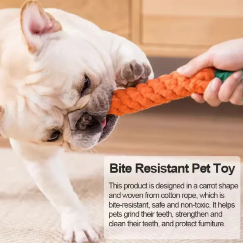Brinquedo divertido para gatos em forma de cenoura, com textura para dentição e som, ideal para abraçar, resistente a mordidas e arranhões, artigos para animais de estimação para entretenimento interativo