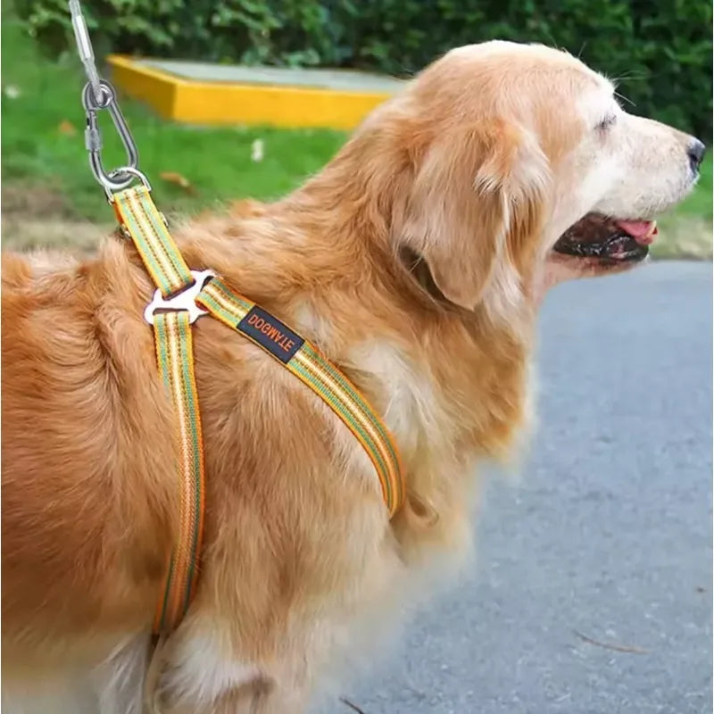 Double-Headed Dog Tie out Cable Leash with Metal Buckle Anti-Rust Steel Wire Outdoor Training Collar Durable Traction Rope Strap