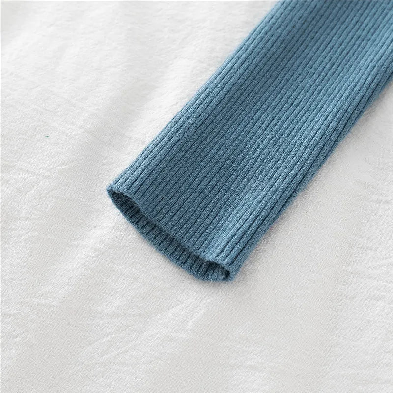 2026 Autumn Winter Button V Neck Sweater Women Basic Slim Pullover Women Sweaters And Pullovers Knit Jumper Soft Warm Tops
