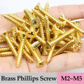 High Quality Brass Recessed Countersunk Flat Head Self-tapping Screws M2 M3 M4 Thermally Conductive Wood Phillips Furniture Bolt