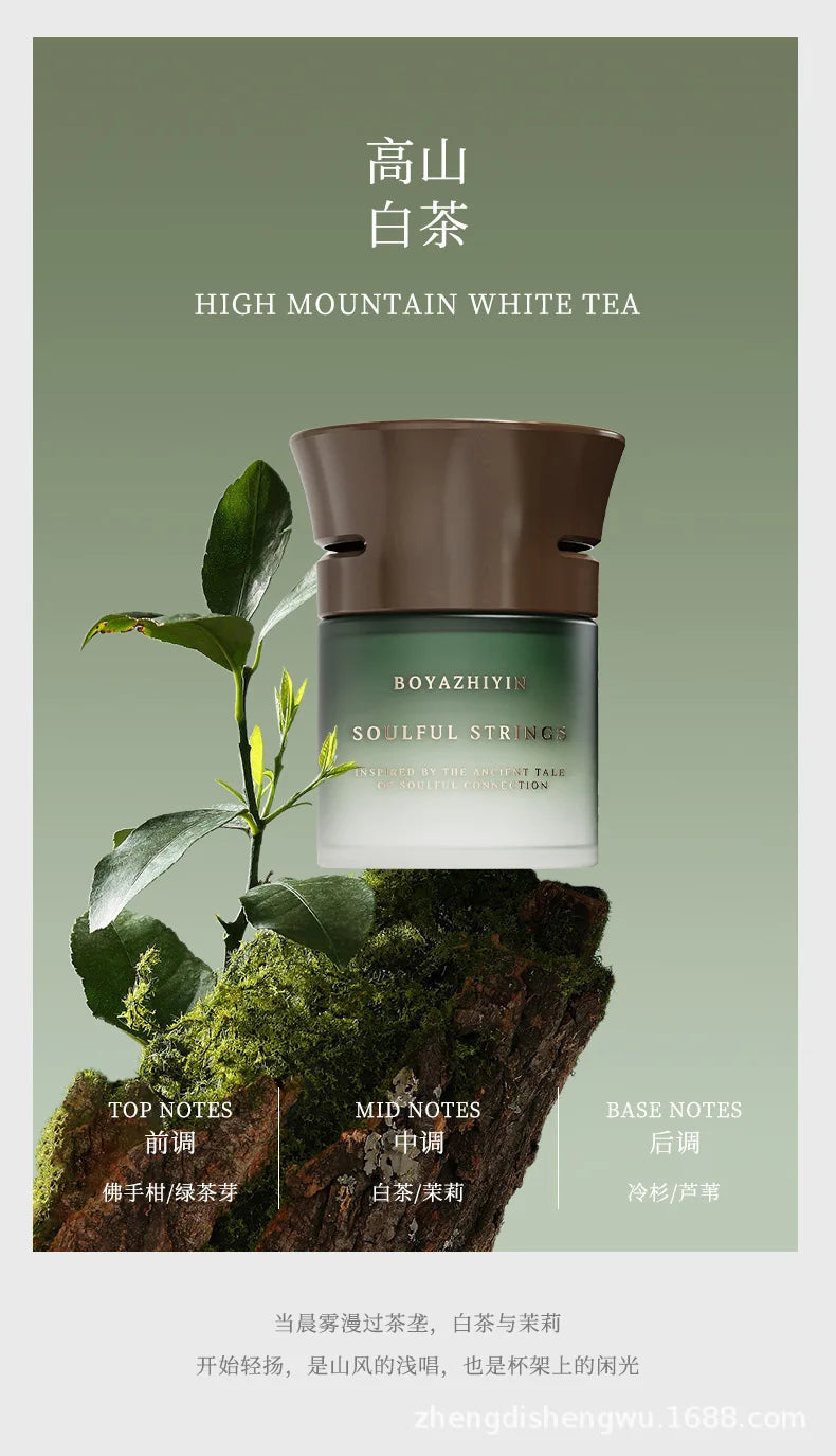 2026 luxury texture car fragrance perfume high-end high-end car solid ointment deodorant bacteriostasis lasting fragrance