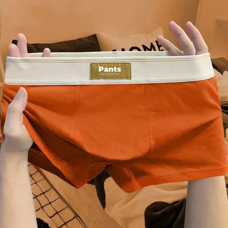 4 pcs Men Underwear Cotton BoxerShorts Hombre Panties Man Breathable Underpants Sexy Sports Comfort Male Boxers Large Size L-7XL