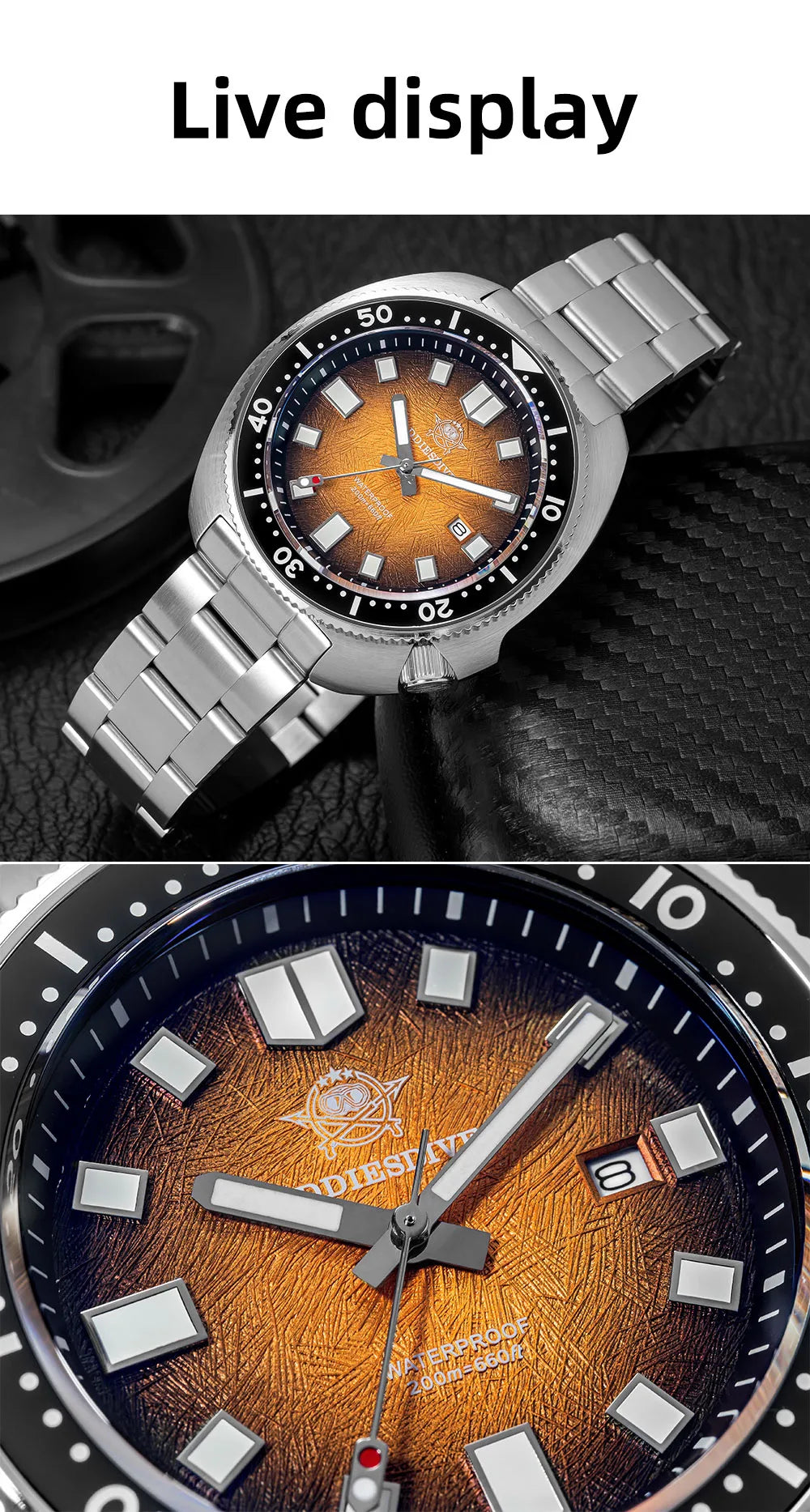 ADDIESDIVE New AD2511 Men's Quartz Watches 41mm Turtle Design Sapphire Glass AR Coated BGW9 Luminous Waterproof 200M Diver Watch