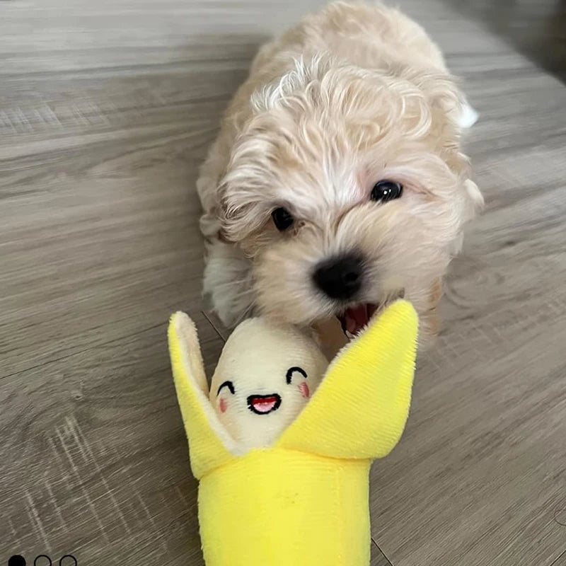 A 7-piece set of puppy sound toys, loose plush pet chewing, plush fruit snacks and vegetable puppy toys, suitable for pet play
