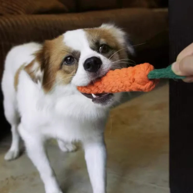 Brinquedo divertido para gatos em forma de cenoura, com textura para dentição e som, ideal para abraçar, resistente a mordidas e arranhões, artigos para animais de estimação para entretenimento interativo
