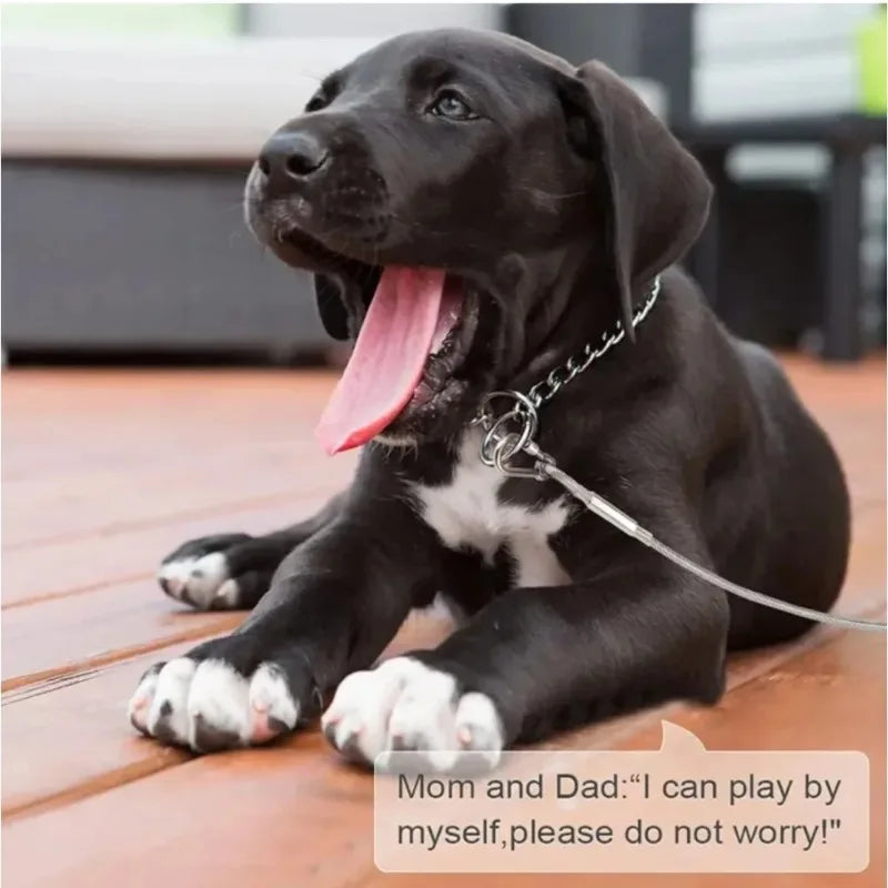 Double-Headed Dog Tie out Cable Leash with Metal Buckle Anti-Rust Steel Wire Outdoor Training Collar Durable Traction Rope Strap
